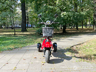 Электротрицикл TRION Partner NOVA