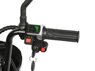 Электротрицикл TRION Partner MX 12 PRO
