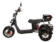Электротрицикл SKYBOARD TRIKE BR60-3000 PRO