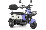 Электротрицикл Rutrike Gelbert Vega 48V/60V 600Вт (фиолетовый) Электротрицикл Rutrike Gelbert Vega 48V/60V 600Вт (фиолетовый)