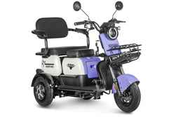 Rutrike Gelbert Vega 48/60V (фиолетовый)