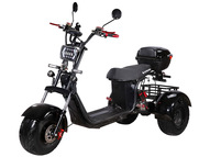 Электротрицикл SKYBOARD TRIKE BR40-3000 PRO FAST