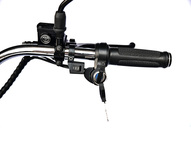 Электротрицикл SKYBOARD Dnepr Chopper-4000 Wide