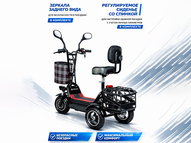 Электротрицикл TRION Partner MX 12 (36V / 15AH)