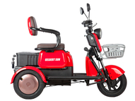 Электротрицикл Gelbert Sun (фиолетовый) 48V/60V 650Вт