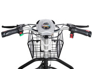 Электротрицикл TRION Transporter DUAL 1200W