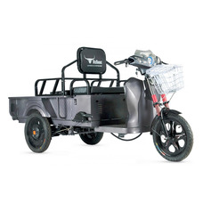 Rutrike D1 ГП 1200 60V900W
