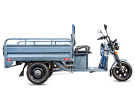 Электротрицикл Rutrike Мастер 1500 60V1000W