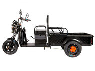 Электротрицикл Rutrike D1 1200 60V900W