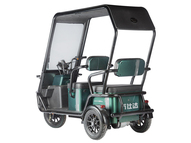Электротрицикл Wanshida NIPLA 500 60V 1000Вт (красный)