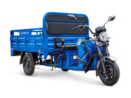 Электротрицикл Rutrike D4 Next PRO 1800 72V1500W