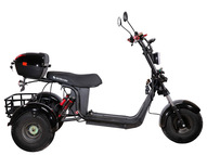 Электротрицикл SKYBOARD TRIKE BR40-3000 PRO FAST