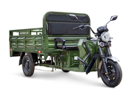 Электротрицикл Rutrike D4 Next PRO 1800 72V1500W