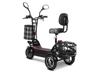 Электротрицикл TRION Partner MX 12