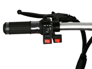 Электротрицикл TRION Shturman DUAL