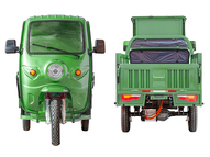 Электротрицикл Rutrike Гермес 1500 60V1200W