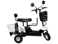 EL-Sport SF8 Maxi 500W EL-Sport SF8 Maxi 500W