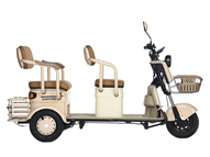 Электротрицикл Rutrike Gelbert Atlas 48V/60V 600Вт (красный)