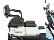 Электротрицикл Rutrike Gelbert Vega 48V/60V 600Вт (фиолетовый)