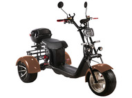Электротрицикл SKYBOARD TRIKE BR60-3000 PRO