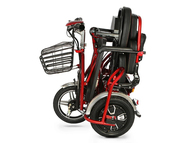 Электротрицикл Elbike Адъютант Double Twix A4