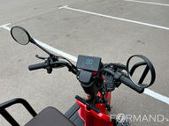 Электротрицикл GreenCamel Пони Z8 (60V 650W) дифференциал, (Красный)