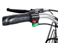 Электротрицикл TRION Transporter DUAL 1200W