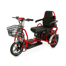 Transporter Li-Ion 48V 12Ah