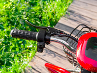 Электротрицикл Elbike Адъютант Double A3