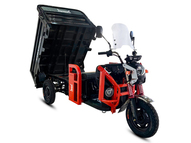 Электротрицикл WHITE SIBERIA SIBTRIKE CARGO 1.6