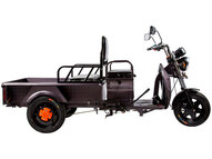 Электротрицикл Rutrike D1 1200 60V900W