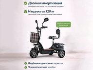 Электротрицикл TRION Partner MX 12 (36V / 15AH)