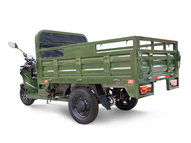 Электротрицикл Rutrike D4 Next PRO 1800 72V1500W