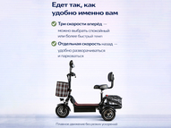 Электротрицикл TRION Partner MX 12 (36V / 15AH)