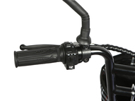 Электротрицикл TRION Partner MX 12