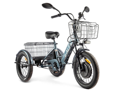 GREEN CITY e-ALFA Trike (серебристый) GREEN CITY e-ALFA Trike (серебристый)