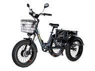 Электрический трицикл фэтбайк E-motions Panda 20 (750W 15Ah)