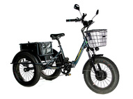 Электрический трицикл фэтбайк E-motions Panda 20 (750W 15Ah) Электрический трицикл фэтбайк E-motions Panda 20 (750W 15Ah)